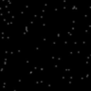 Meet your Posher, Charlotte